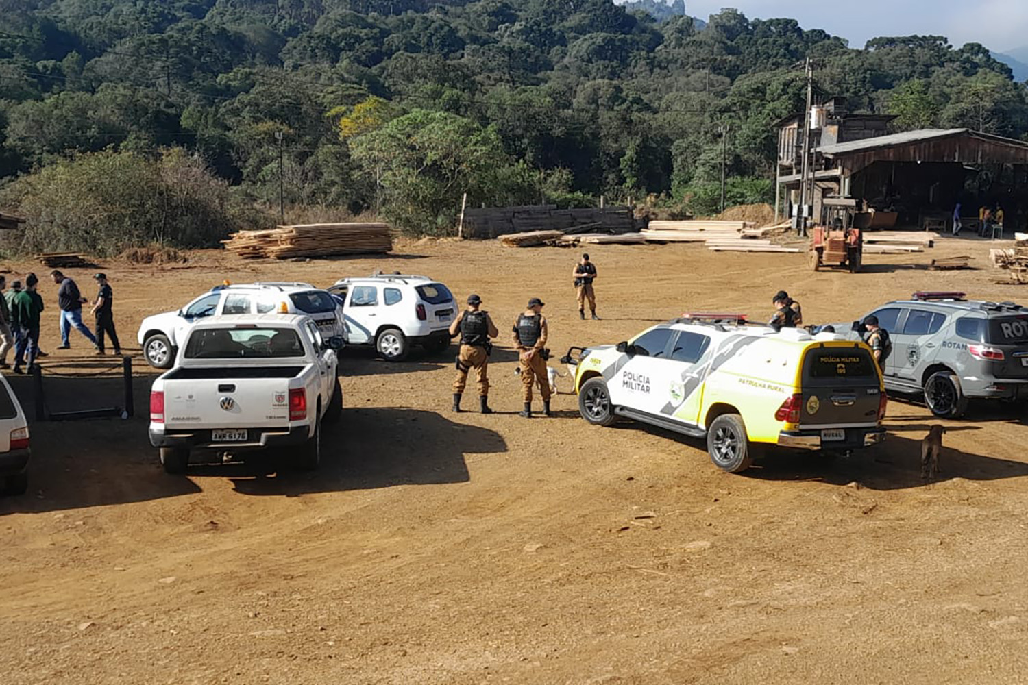 Operação conjunta combate comércio de madeira ilegal no Sul do Paraná Foto: Receita Estadual do Paraná