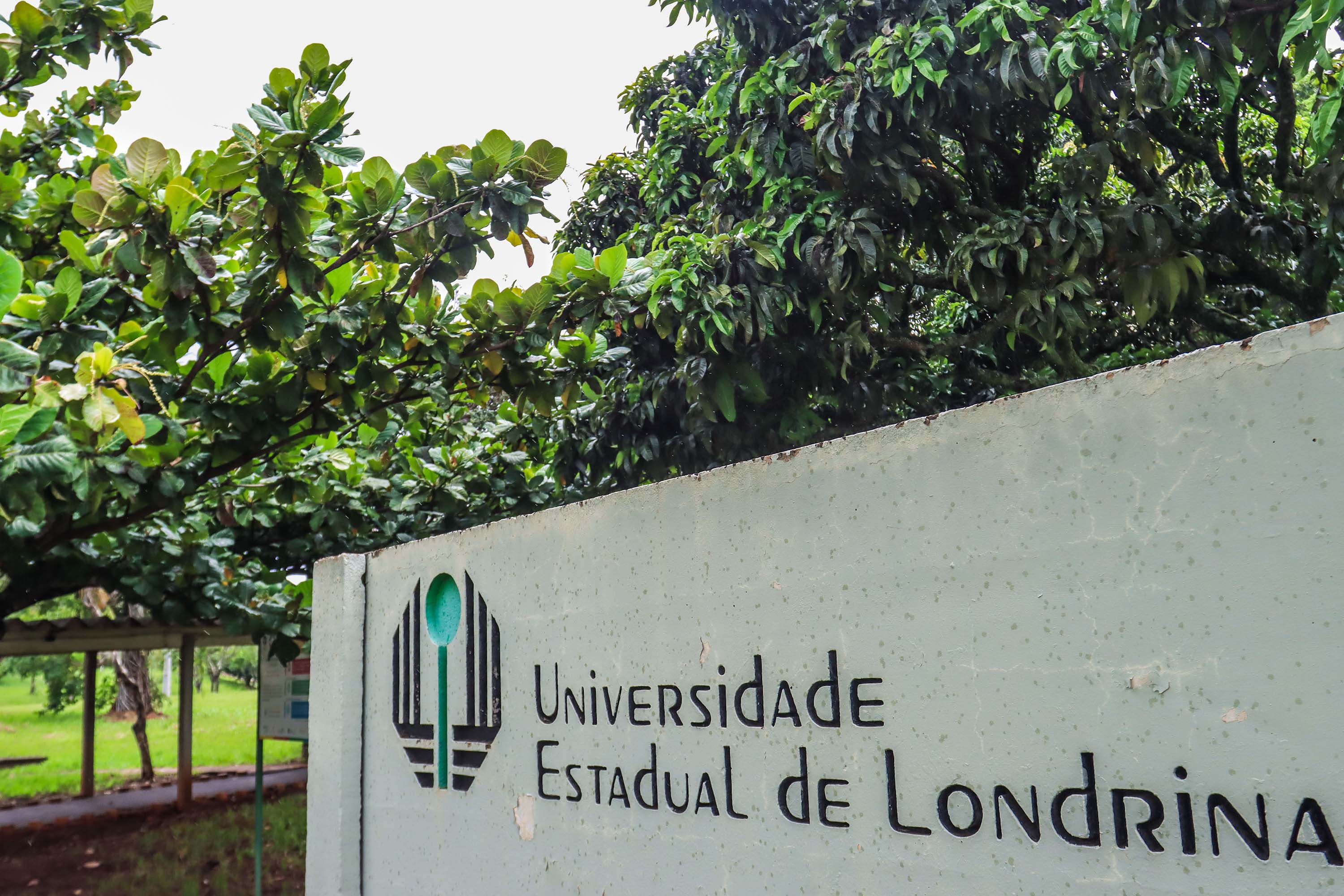 Ranking internacional aponta UEL entre as melhores universidades brasileiras para 2024 Foto: SETI-PR