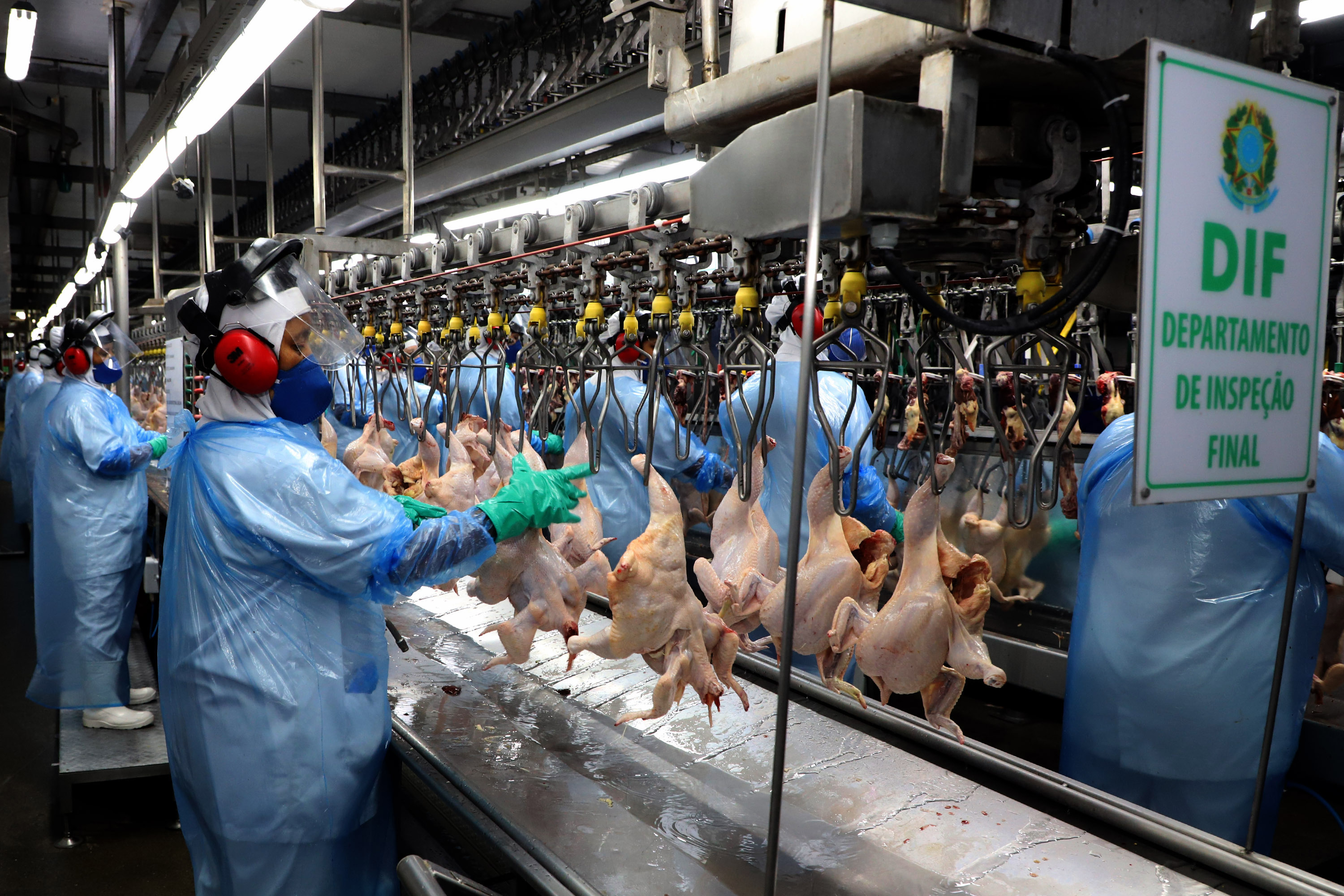 Mais seis plantas paranaenses foram habilitadas para exportar frango para a China Foto: Ari Dias/AEN