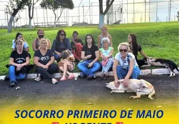 Prefeitura Municipal pode gastar mais de R$ 40 mil para retirada de 10 cachorros da Paranatur e encaminhar para o estado de São Paulo.