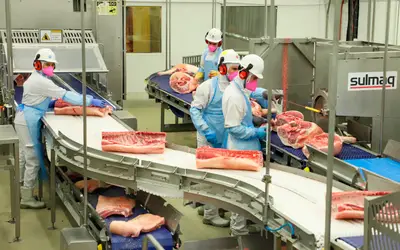 Paraná é o maior produtor de carne suína para consumo interno, aponta boletim do Deral
