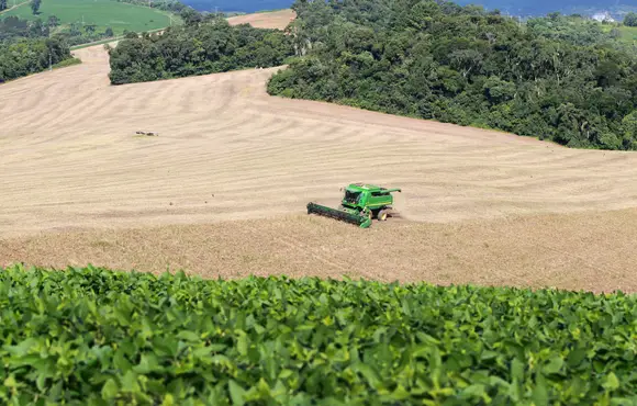 Paraná deve produzir 21,12 milhões de toneladas de grãos na safra de verão 2023/2024